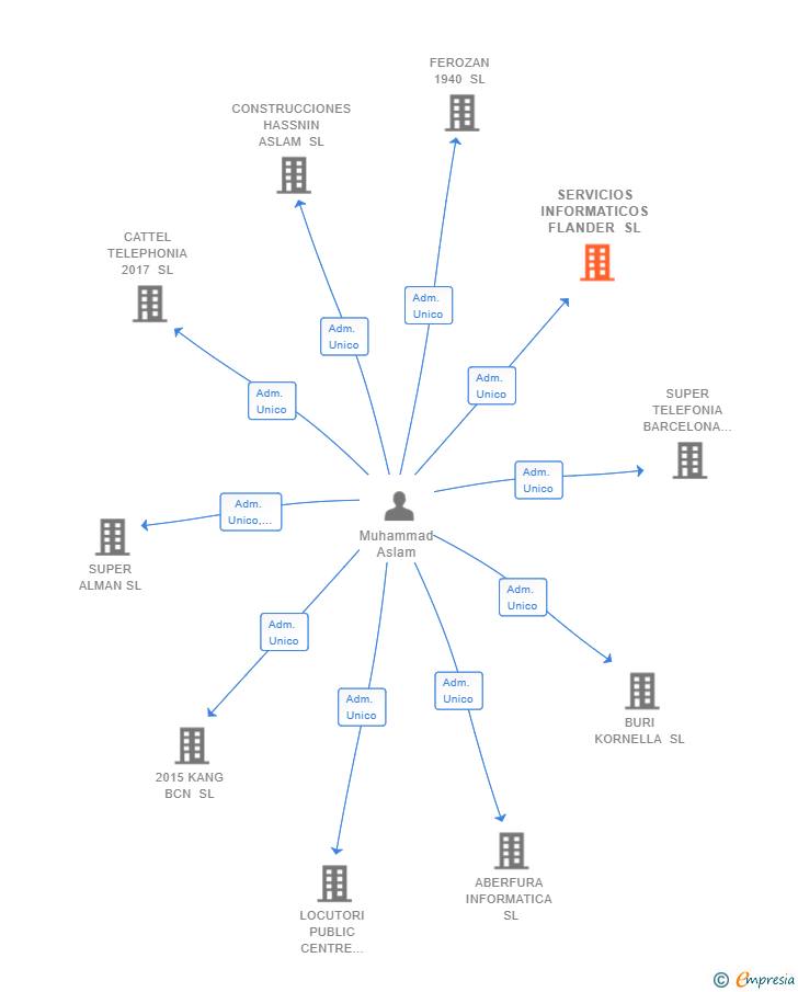 Vinculaciones societarias de SERVICIOS INFORMATICOS FLANDER SL