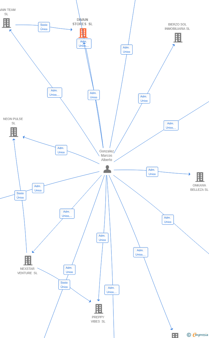 Vinculaciones societarias de DIVAIN STORES SL