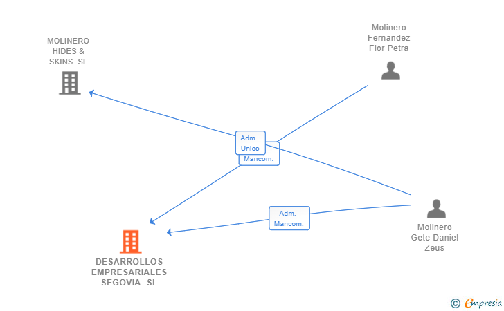 Vinculaciones societarias de DESARROLLOS EMPRESARIALES SEGOVIA SL