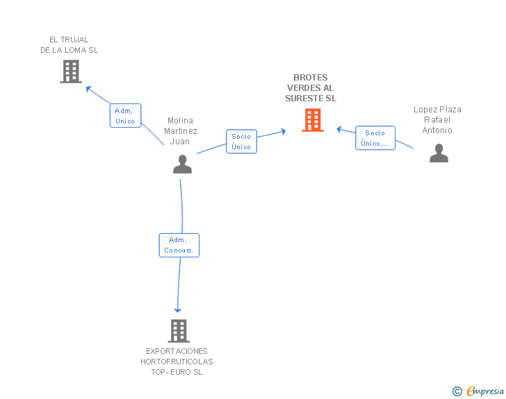 Vinculaciones societarias de BROTES VERDES AL SURESTE SL