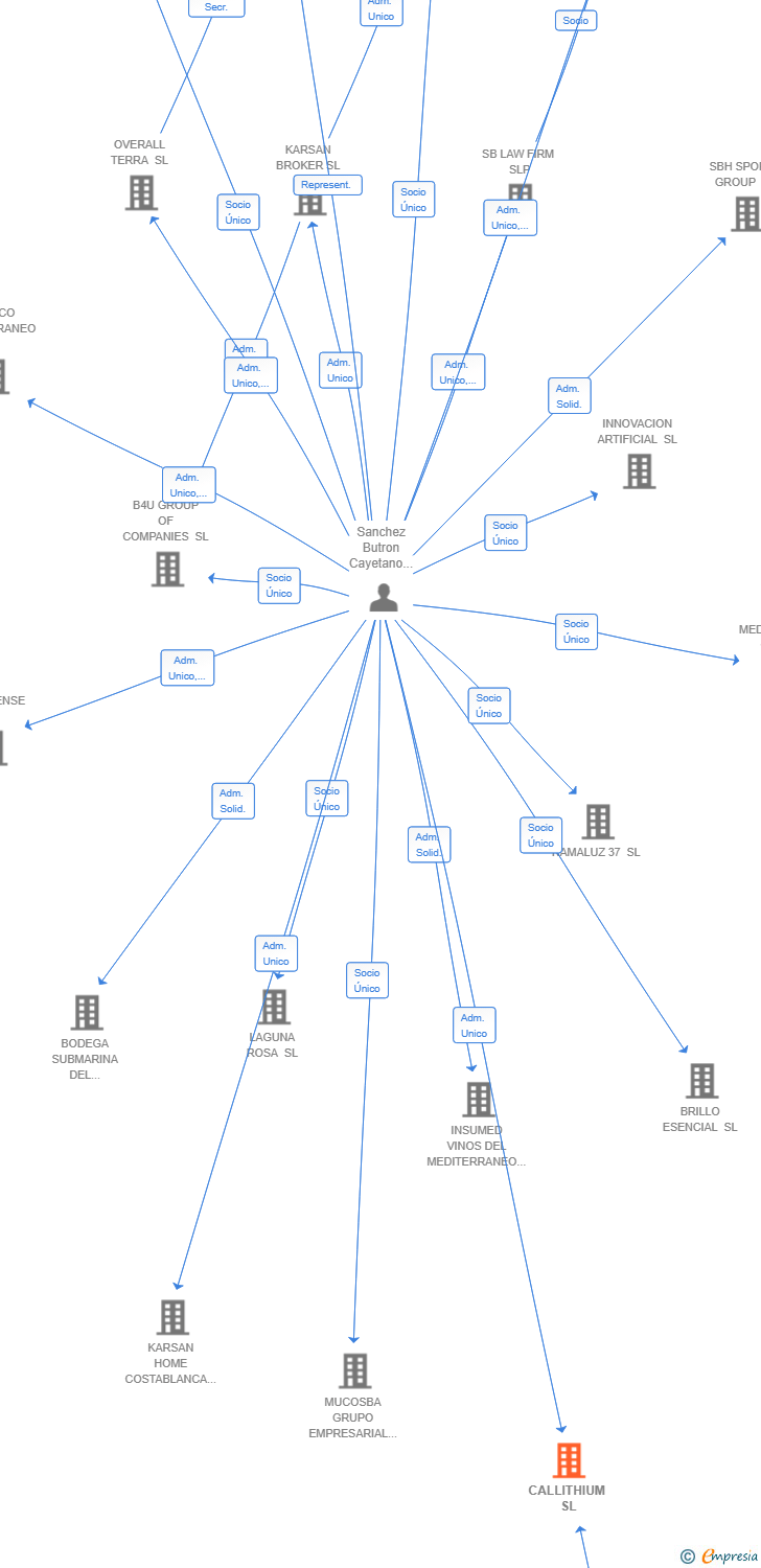 Vinculaciones societarias de CALLITHIUM SL
