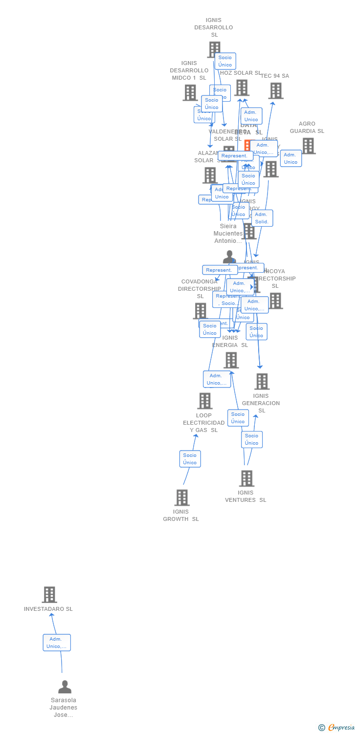 Vinculaciones societarias de IGNIS DATA BETA SL