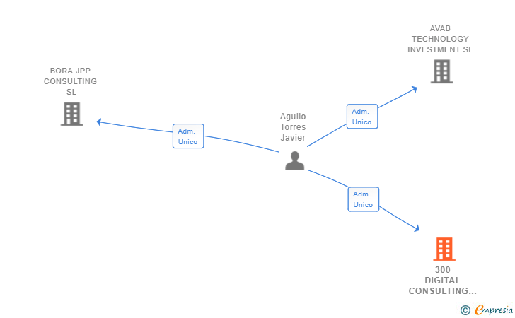 Vinculaciones societarias de 300 DIGITAL CONSULTING SL