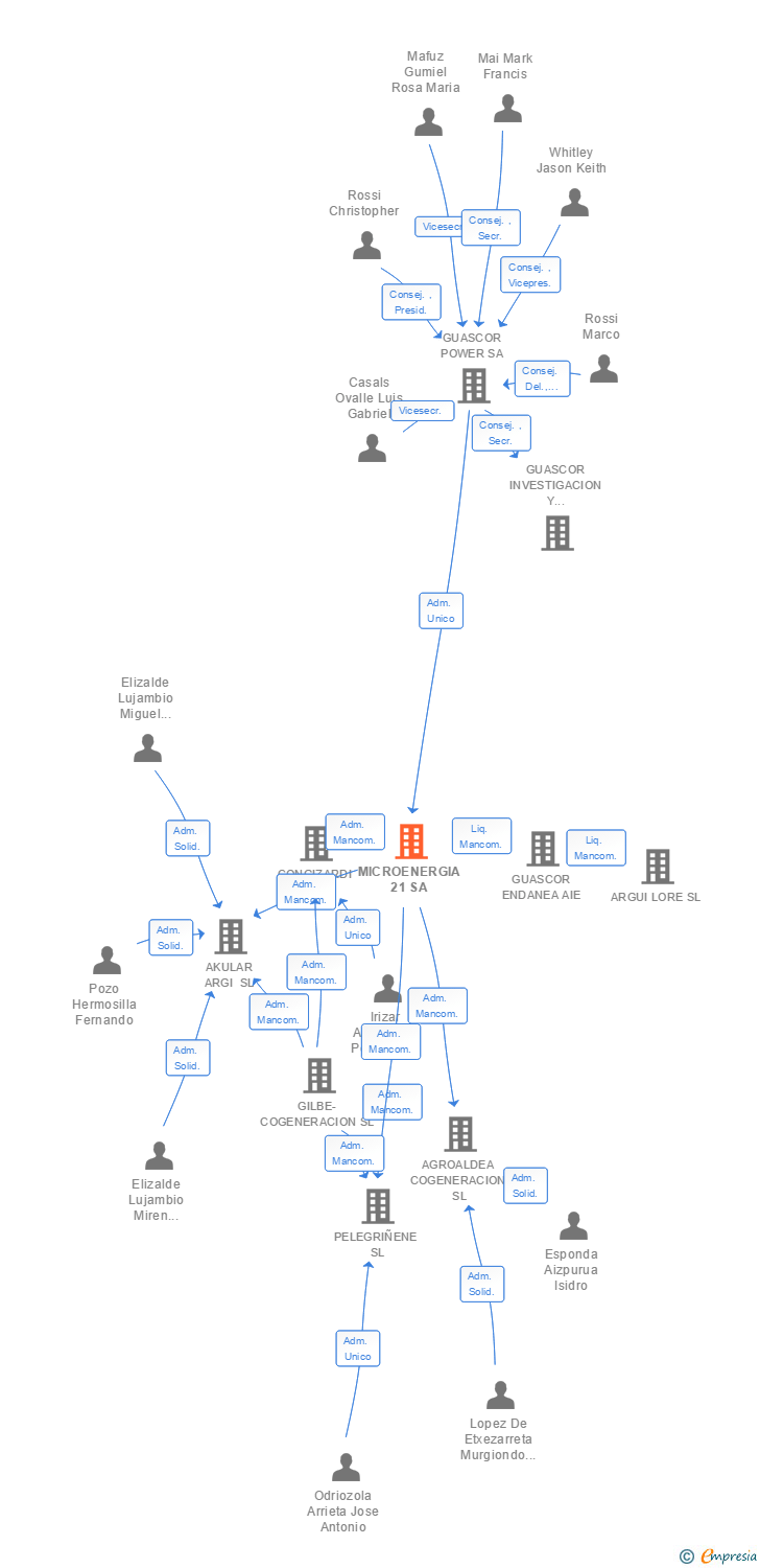 Vinculaciones societarias de MICROENERGIA 21 SA
