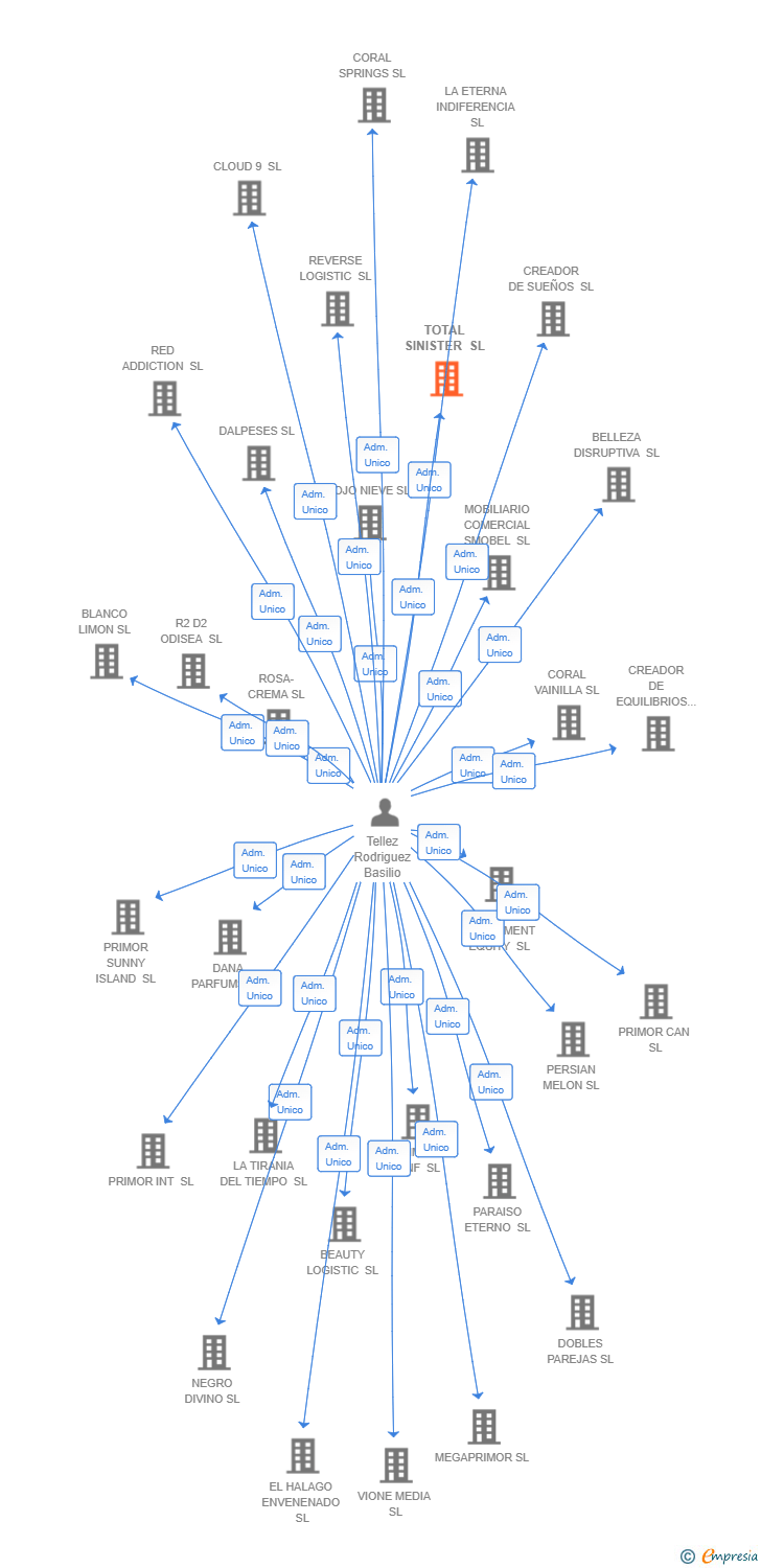 Vinculaciones societarias de TOTAL SINISTER SL
