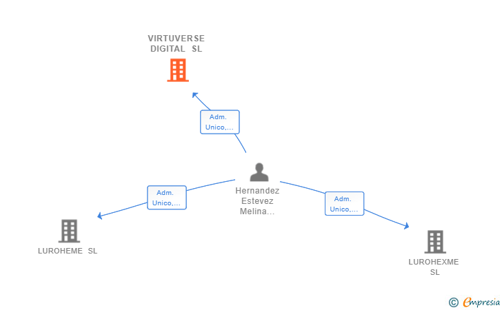 Vinculaciones societarias de VIRTUVERSE DIGITAL SL