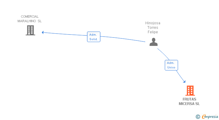 Vinculaciones societarias de FRUTAS MICERSA SL