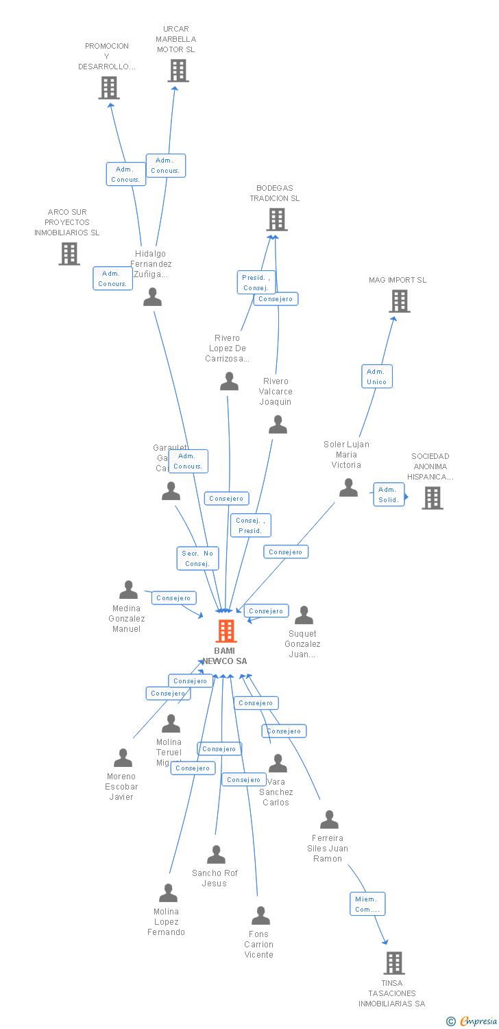 Vinculaciones societarias de BAMI NEWCO SA (EXTINGUIDA)