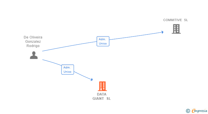 Vinculaciones societarias de DATA GIANT SL