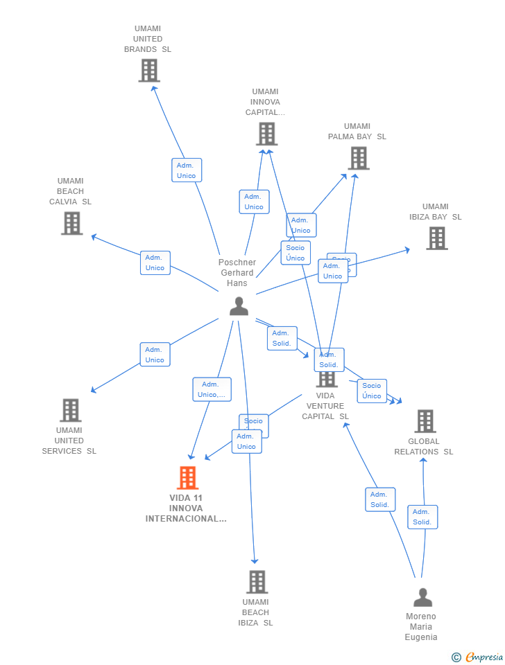 Vinculaciones societarias de VIDA 11 INNOVA INTERNACIONAL SL
