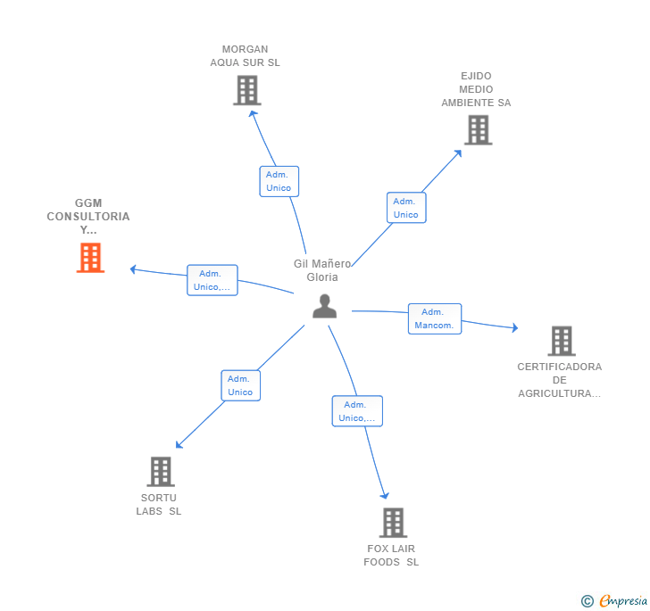 Vinculaciones societarias de GGM CONSULTORIA Y DESARROLLO TECNOLOGICO SL