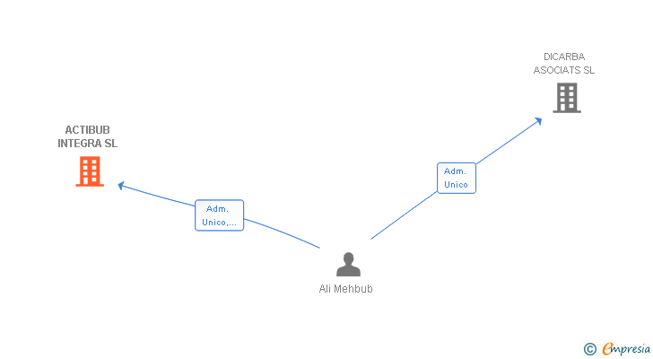 Vinculaciones societarias de ACTIBUB INTEGRA SL