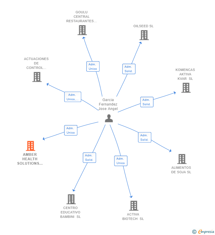 Vinculaciones societarias de AMBER HEALTH SOLUTIONS SL
