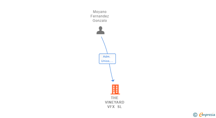 Vinculaciones societarias de THE VINEYARD VFX SL