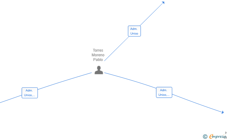 Vinculaciones societarias de PLCING SL