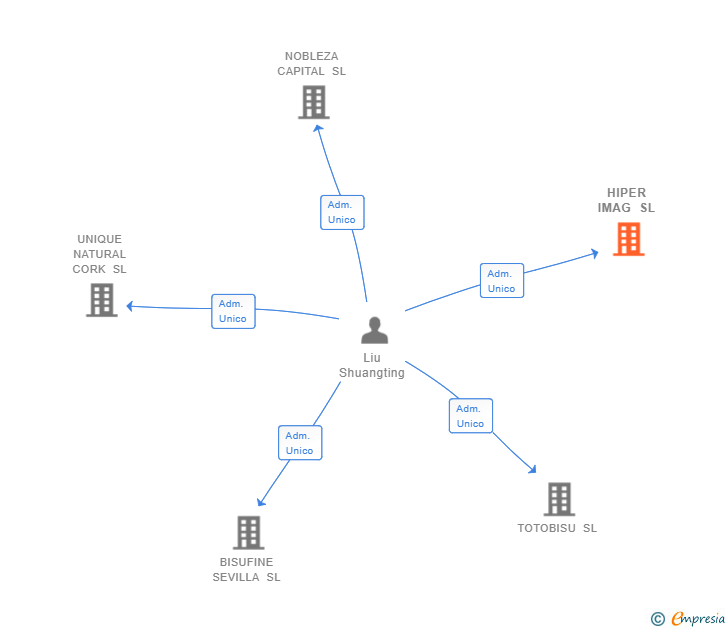 Vinculaciones societarias de HIPER IMAG SL