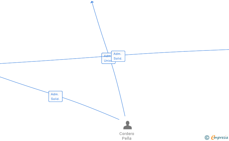 Vinculaciones societarias de MARSOM INVESTMENTS SL