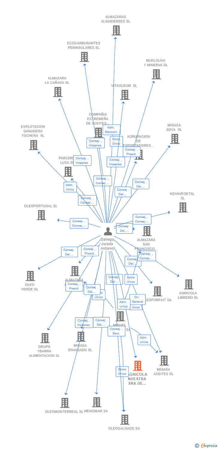 Vinculaciones societarias de AGRICOLA NUESTRA SRA DE GRACIA SL