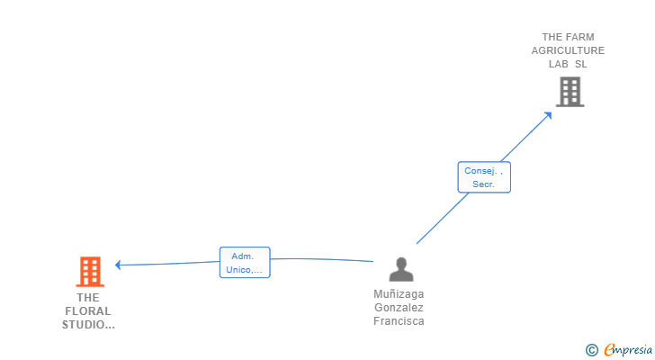 Vinculaciones societarias de THE FLORAL STUDIO IBIZA SL