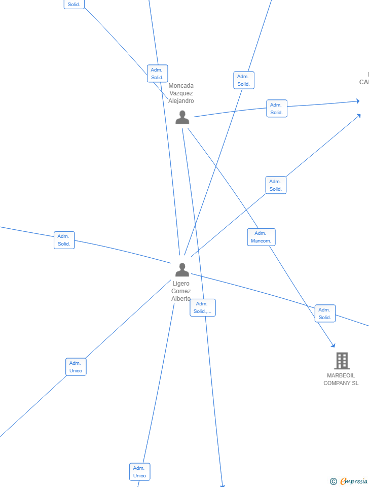 Vinculaciones societarias de MONLI CAPITAL SL