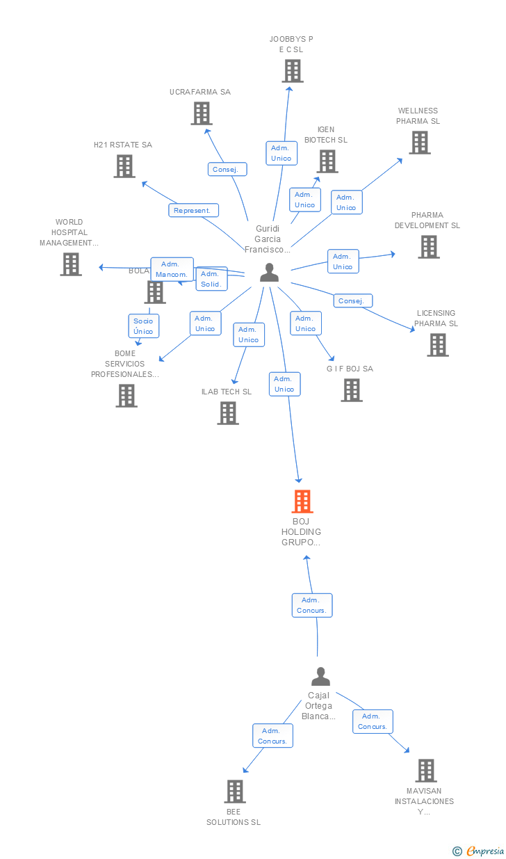 Vinculaciones societarias de BOJ HOLDING GRUPO INMOBILIARIO SL
