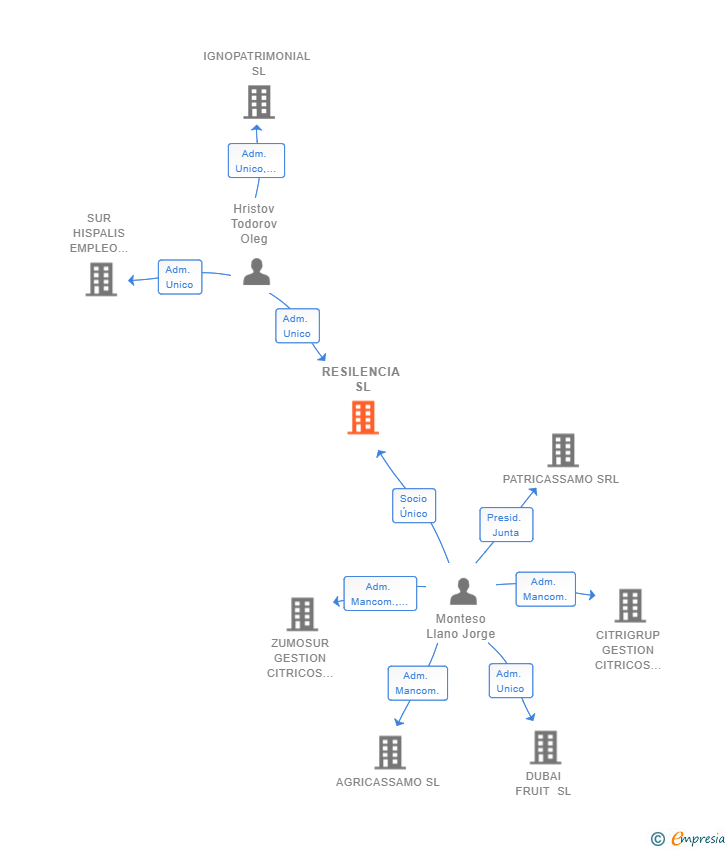 Vinculaciones societarias de RESILENCIA SL (EXTINGUIDA)