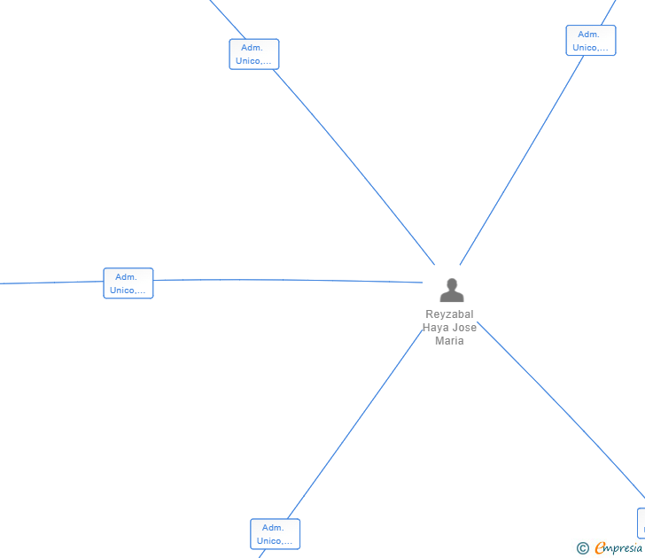 Vinculaciones societarias de NEWGREY SL