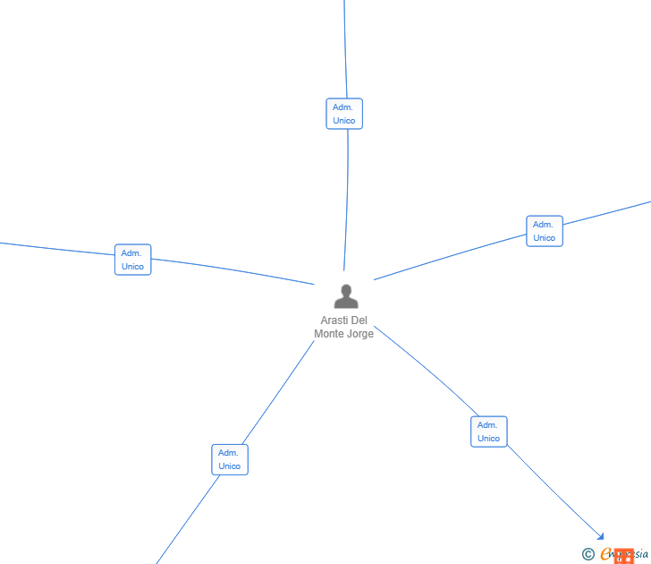Vinculaciones societarias de ARALLOR ASADOR SL