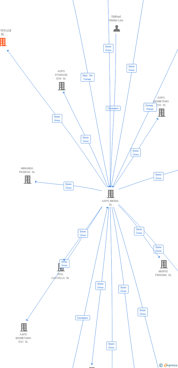 Vinculaciones societarias de PROFITFLEX SL