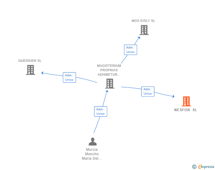 Vinculaciones societarias de NESFOR SL