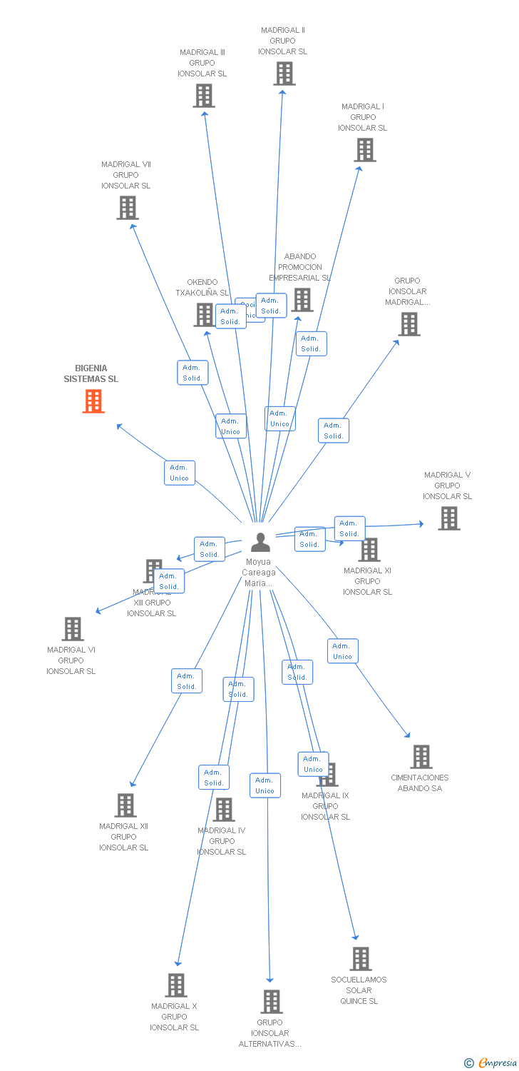 Vinculaciones societarias de BIGENIA SISTEMAS SL