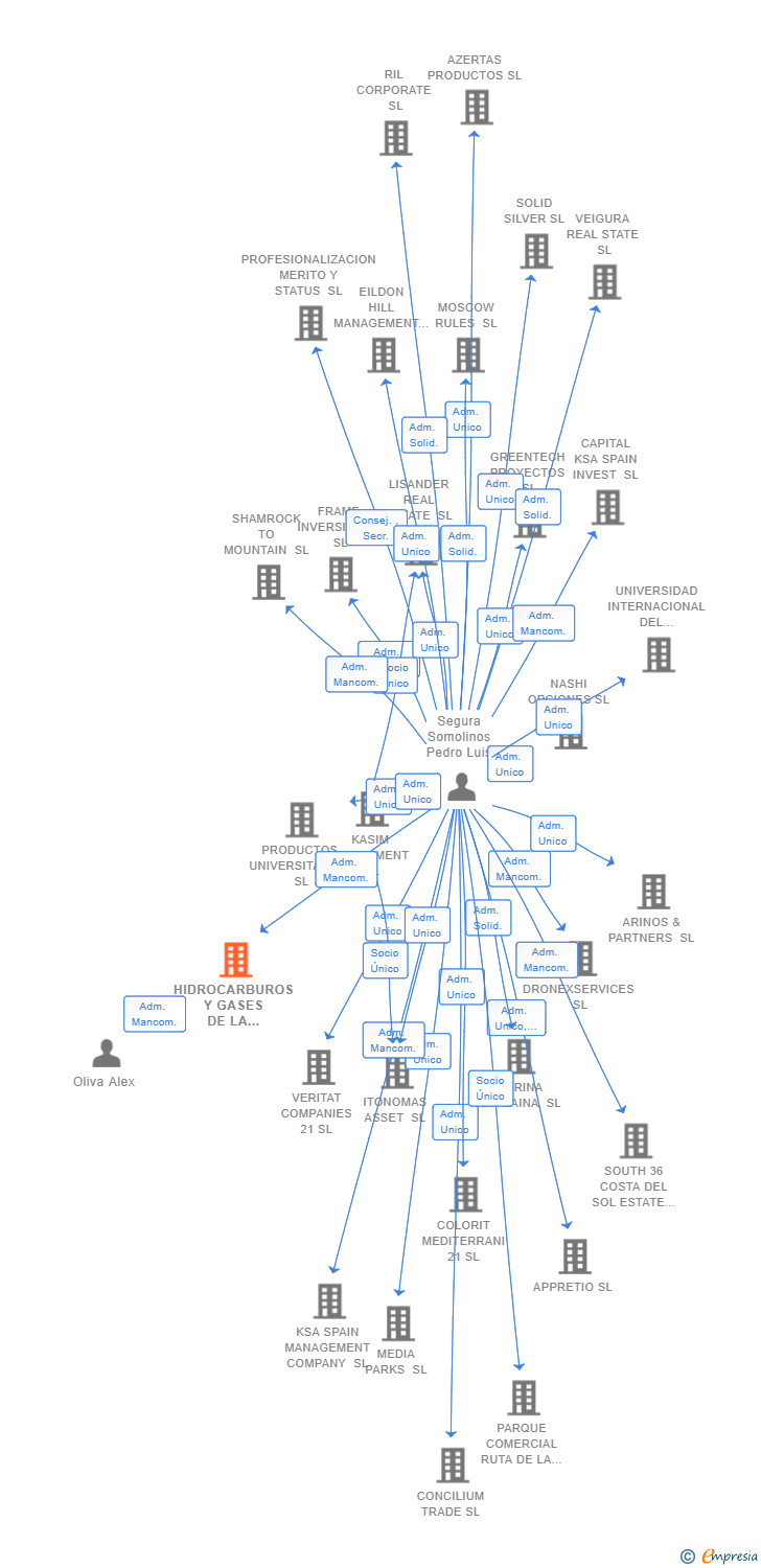 Vinculaciones societarias de HIDROCARBUROS Y GASES DE LA MESETA SL