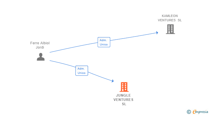 Vinculaciones societarias de JUNGLE VENTURES SL