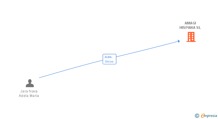 Vinculaciones societarias de AMAGI HISPANA SL