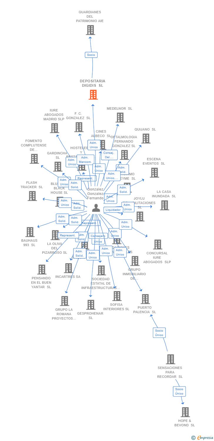 Vinculaciones societarias de DEPOSITARIA DIGIDIS SL