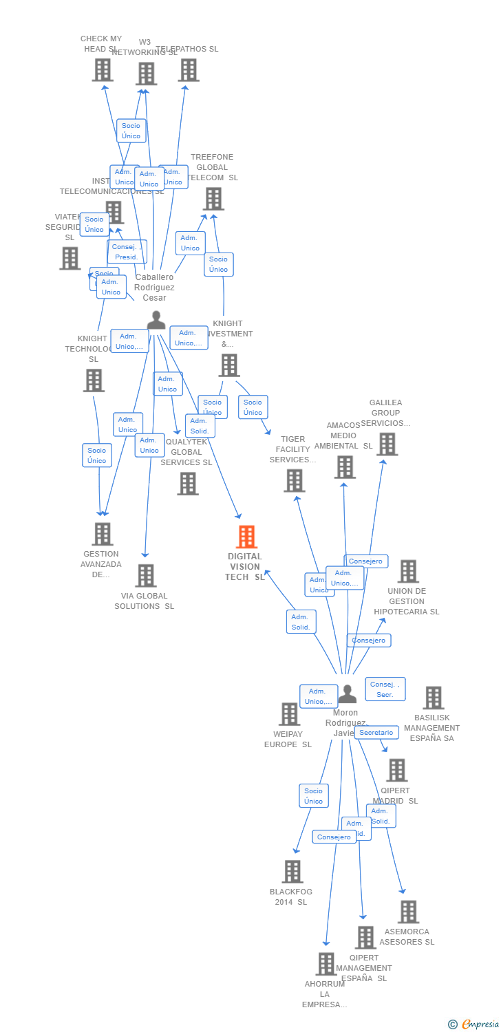 Vinculaciones societarias de DIGITAL VISION TECH SL