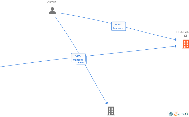 Vinculaciones societarias de LEAFVAULT SL