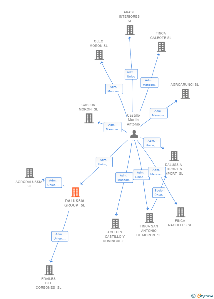 Vinculaciones societarias de DALUSSIA GROUP SL