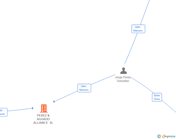 Vinculaciones societarias de PEREZ & AGUADO ALLIANCE SL