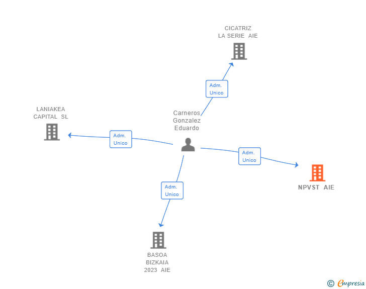 Vinculaciones societarias de NPVST AIE
