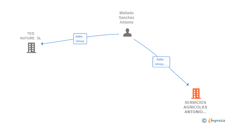 Vinculaciones societarias de SERVICIOS AGRICOLAS ANTONIO MELLADO SL