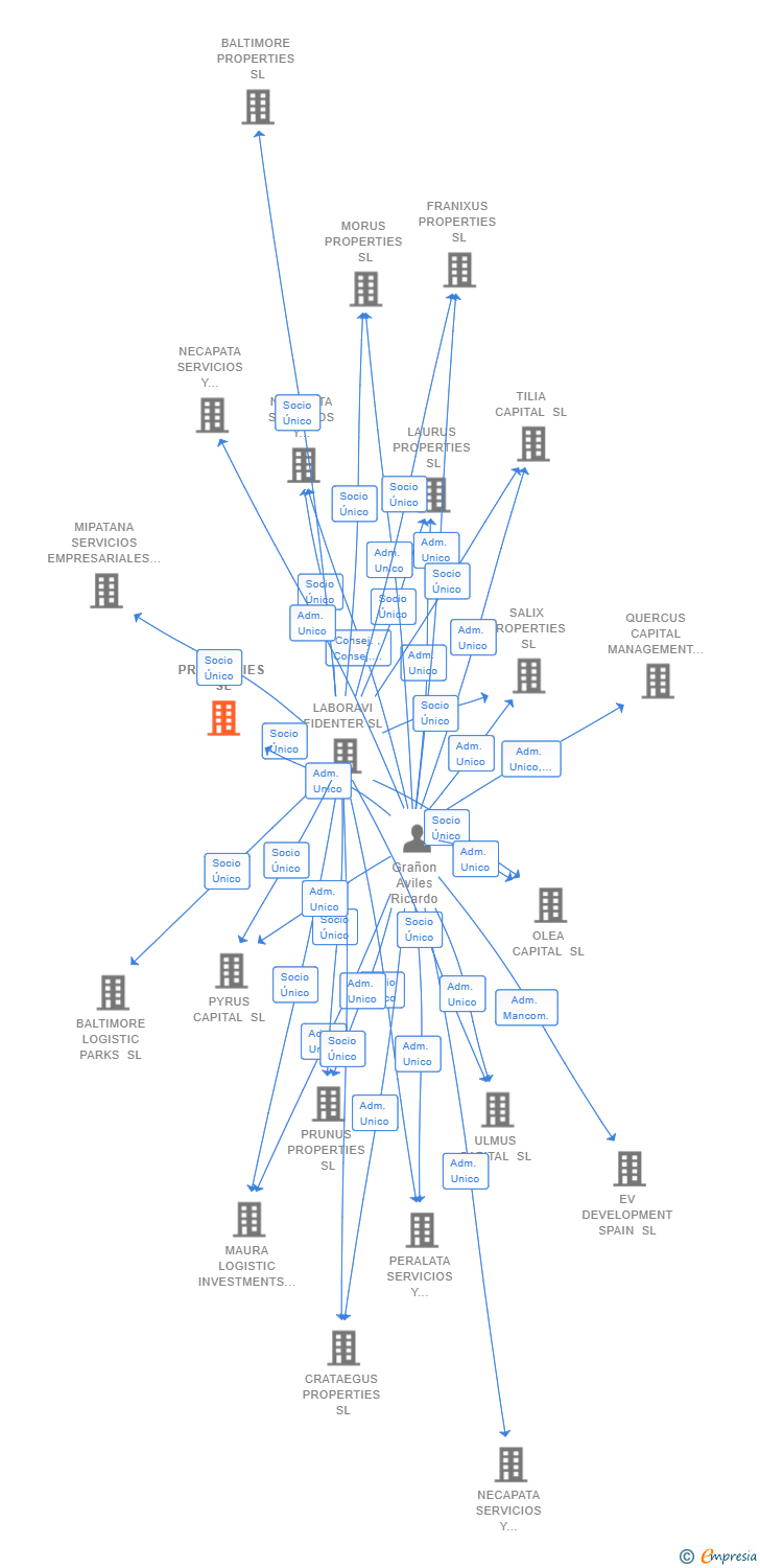 Vinculaciones societarias de ILEX PROPERTIES SL