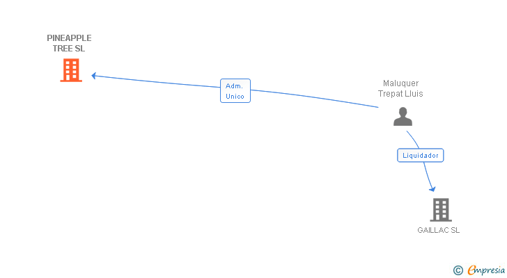 Vinculaciones societarias de PINEAPPLE TREE SL