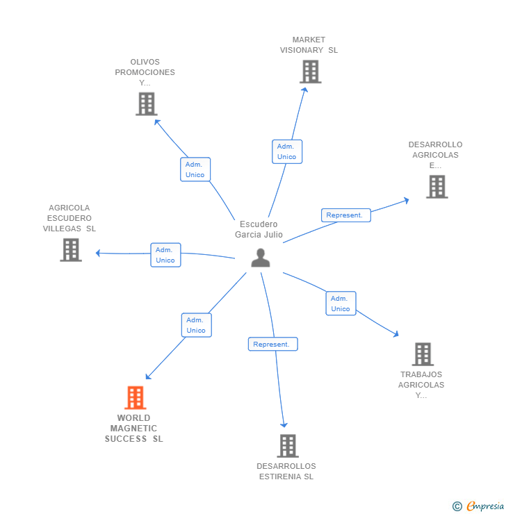 Vinculaciones societarias de WORLD MAGNETIC SUCCESS SL
