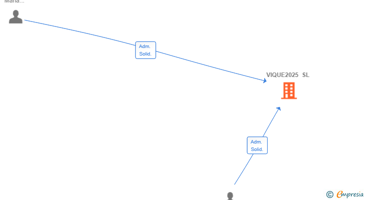 Vinculaciones societarias de VIQUE2025 SL