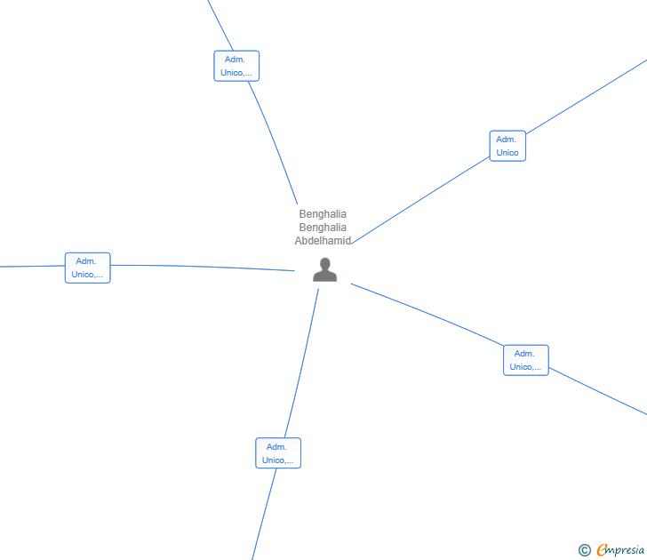 Vinculaciones societarias de ALICANTARA HOLDING SL