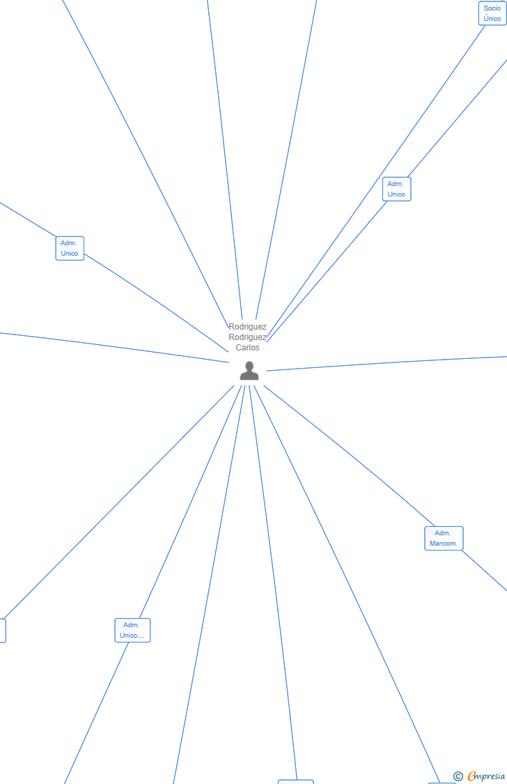 Vinculaciones societarias de COGNIFIT EUROPE SL