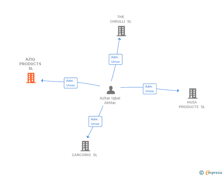 Vinculaciones societarias de AZIQ PRODUCTS SL