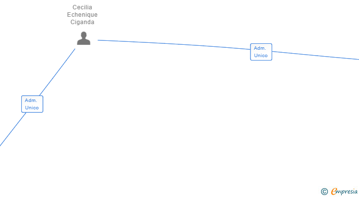 Vinculaciones societarias de PRIMER FIKET SL