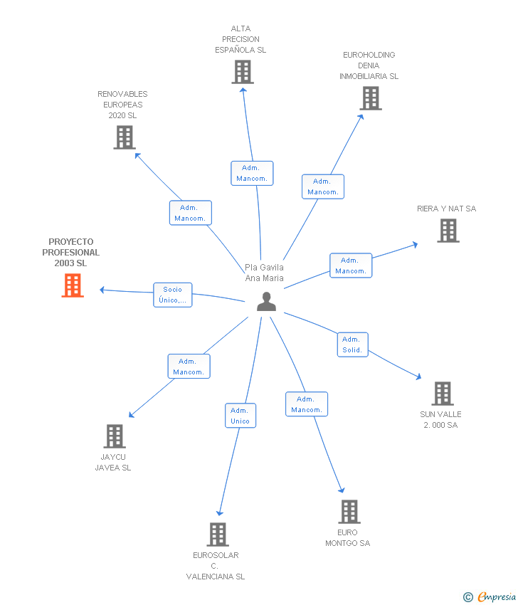 Vinculaciones societarias de PROYECTO PROFESIONAL 2003 SL